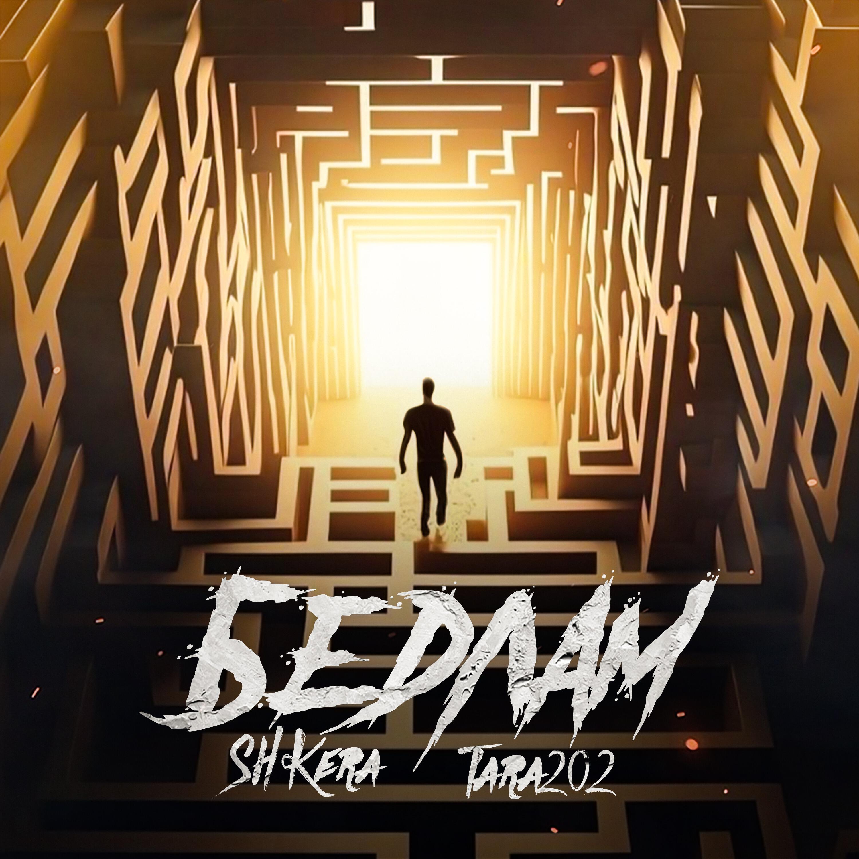 SH Kera, TARA202 - Бедлам