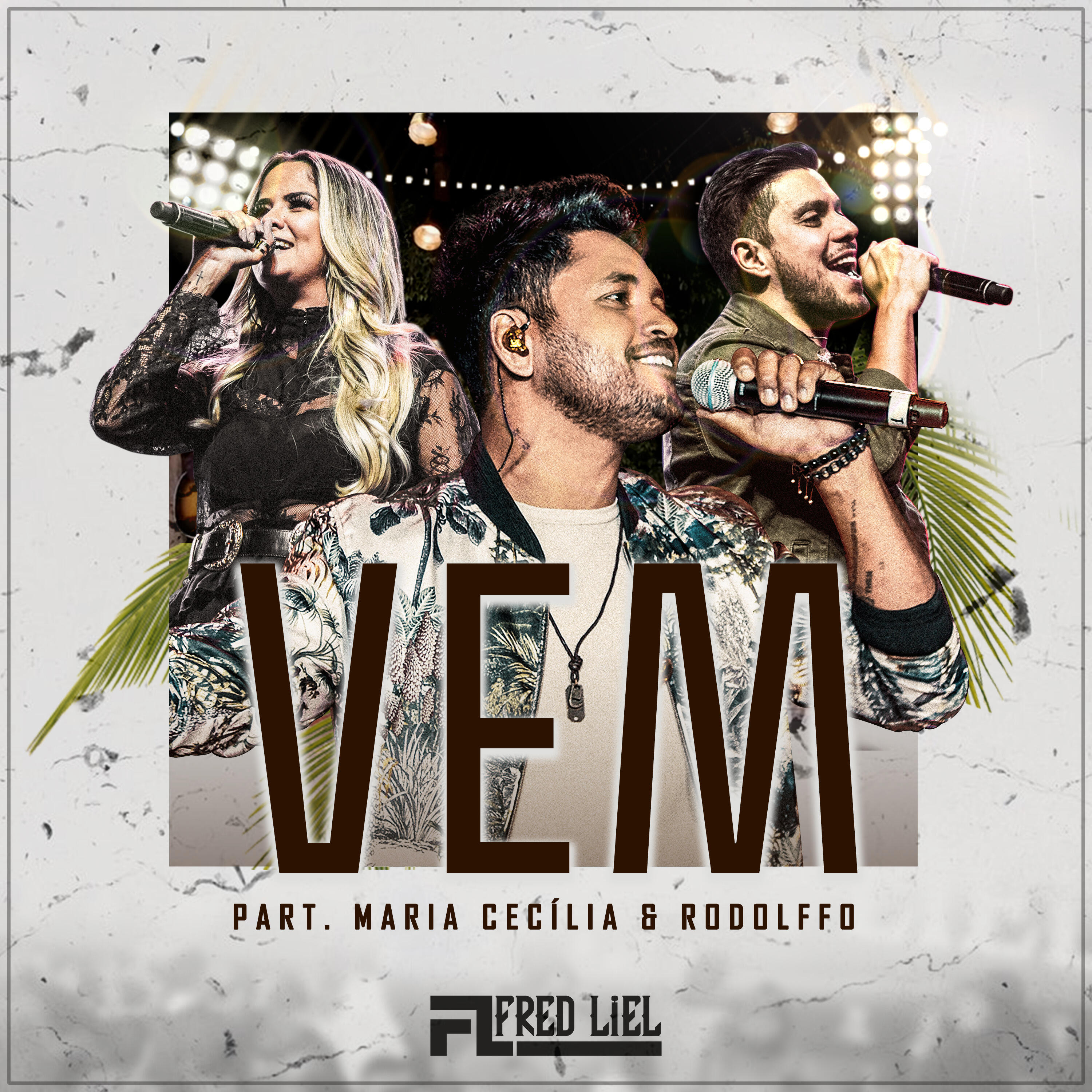 Релиз Vem