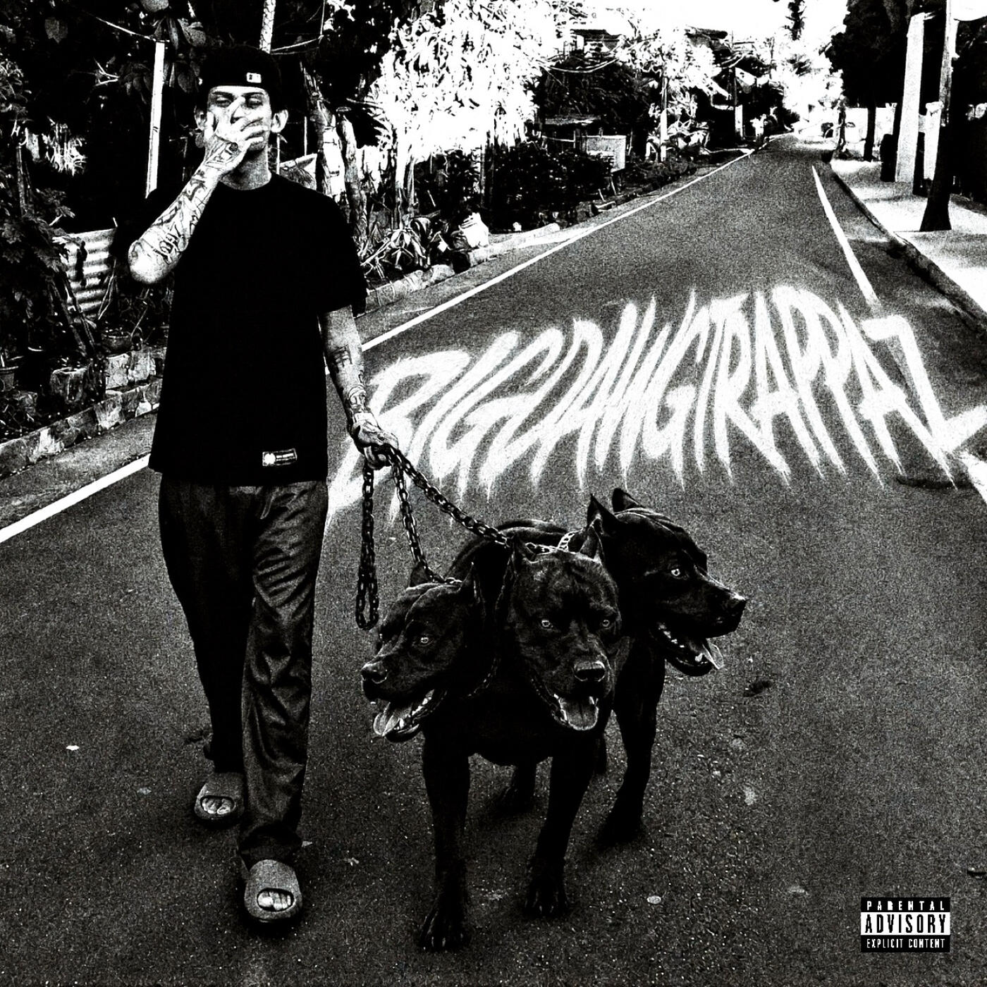 Релиз Bigdawgtrappaz
