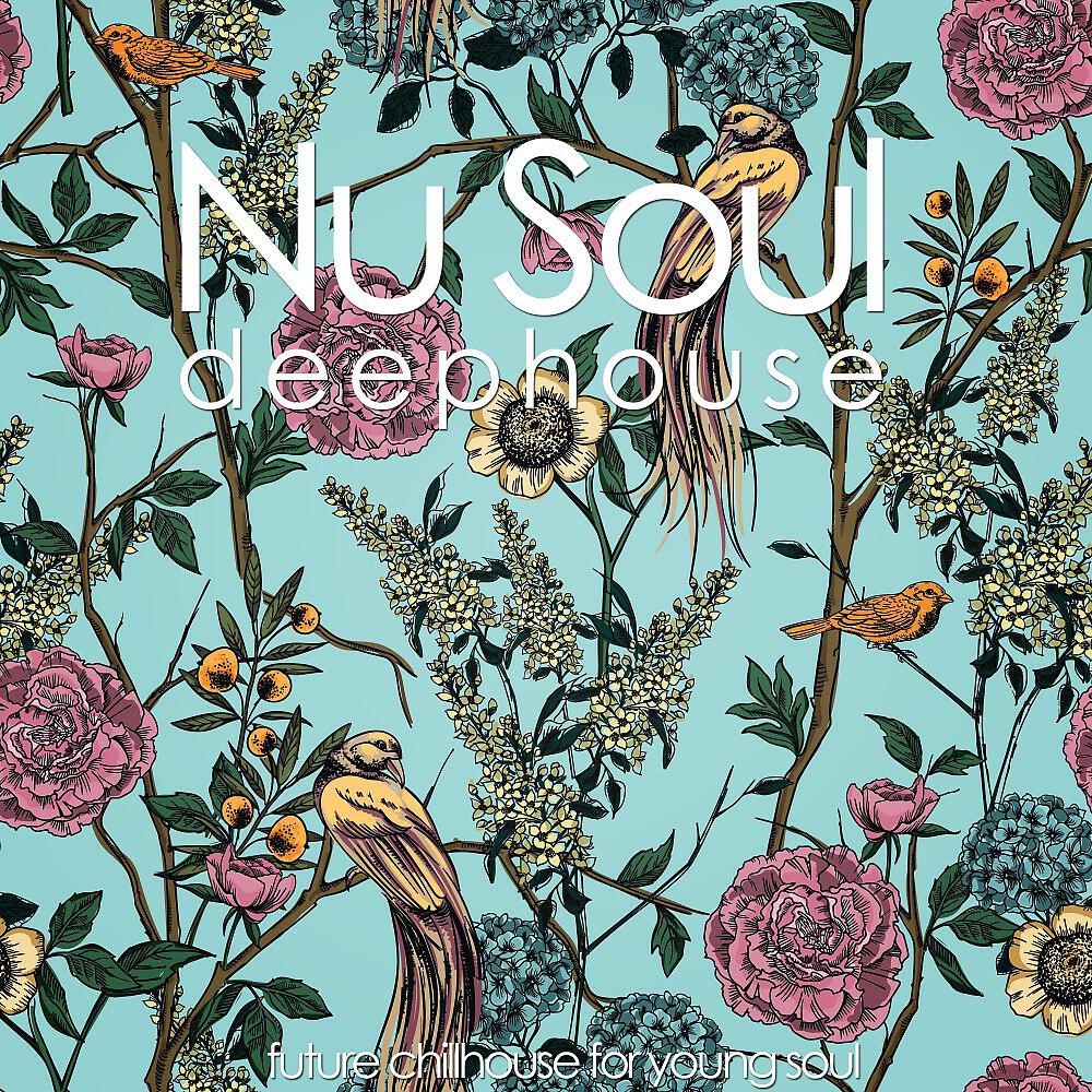 Релиз Nu Soul Deephouse (Future Chillhouse for Young Soul)