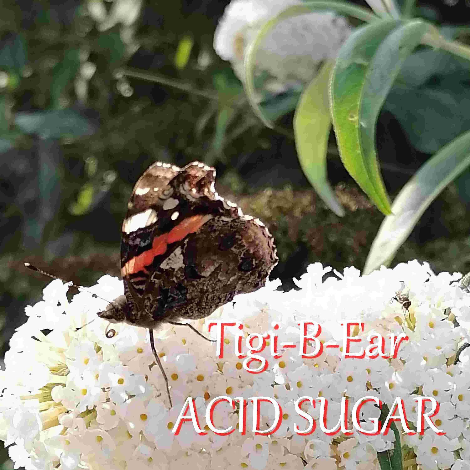 Релиз Acid Sugar