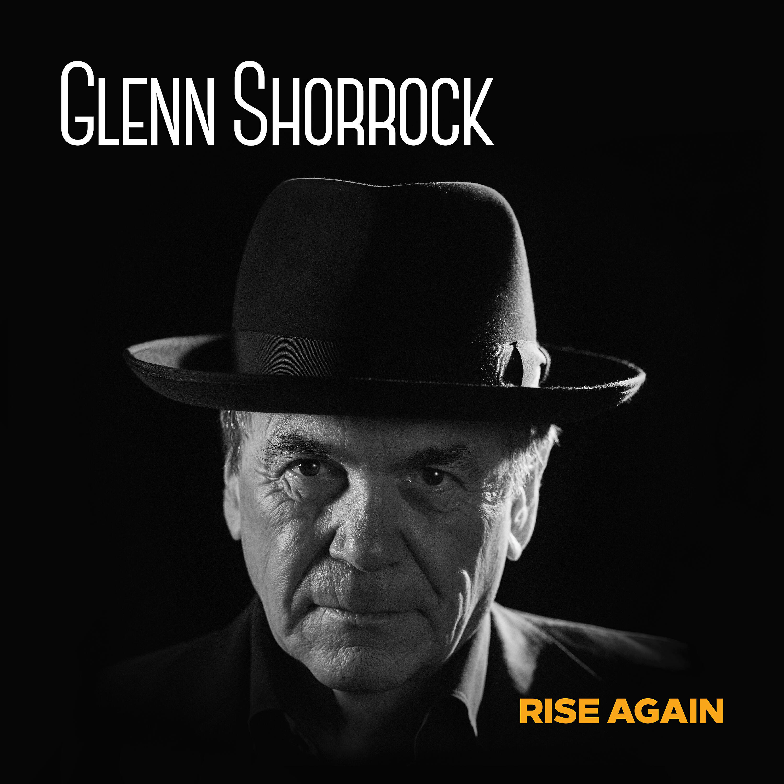 Релиз Rise Again