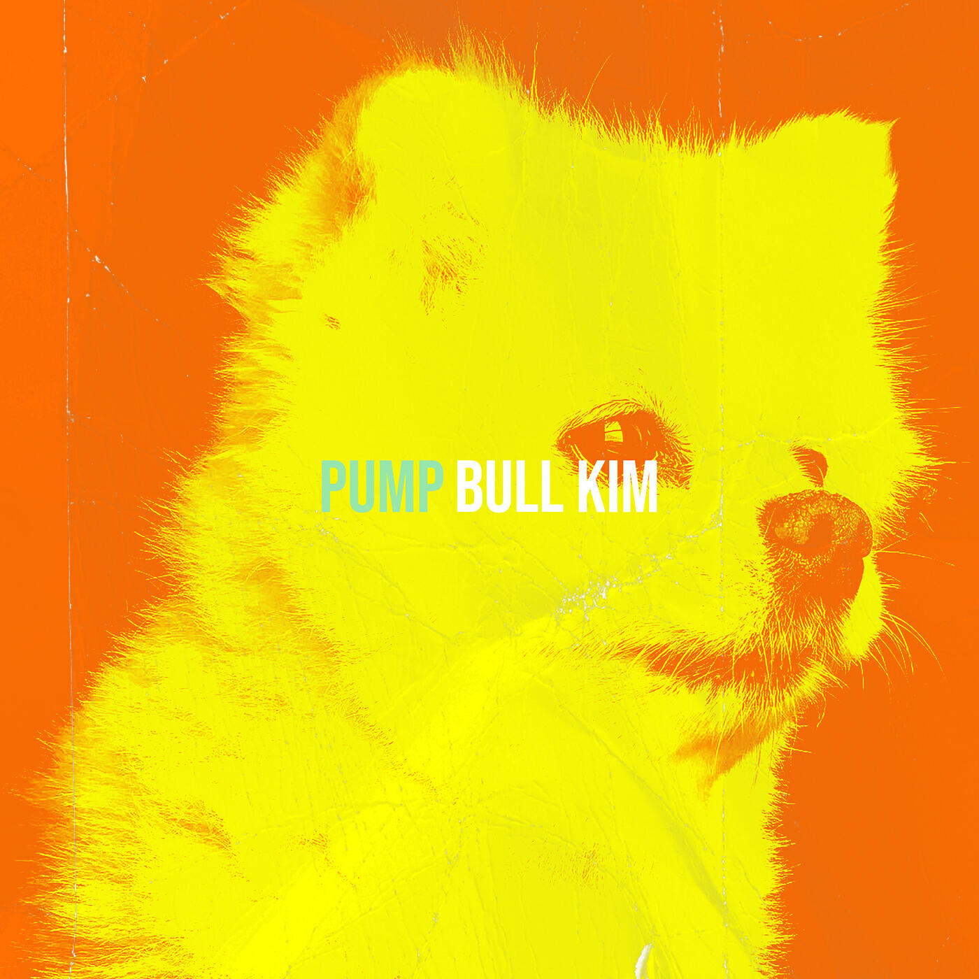 Релиз Pump