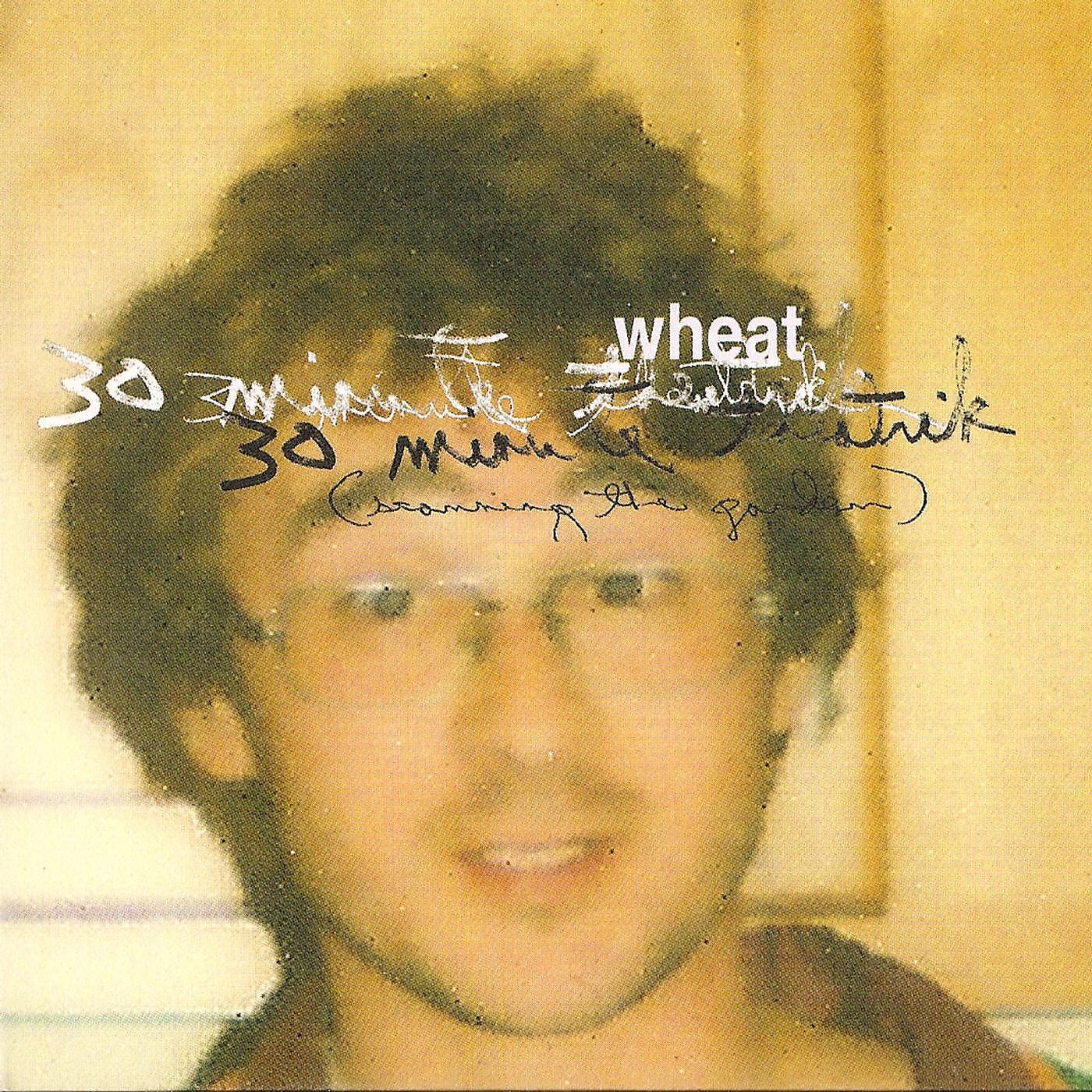 Релиз 30 Minute Theatrik (Scanning the Garden)