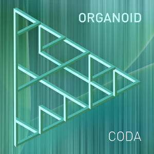 Organoid