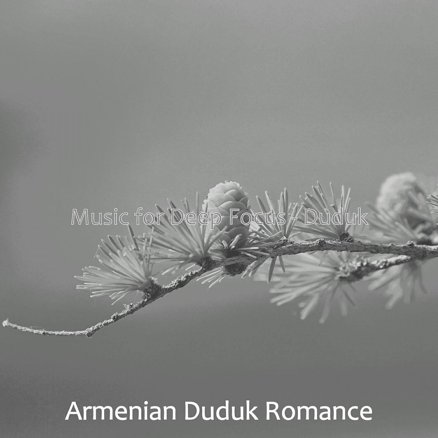 Релиз Music for Deep Focus - Duduk