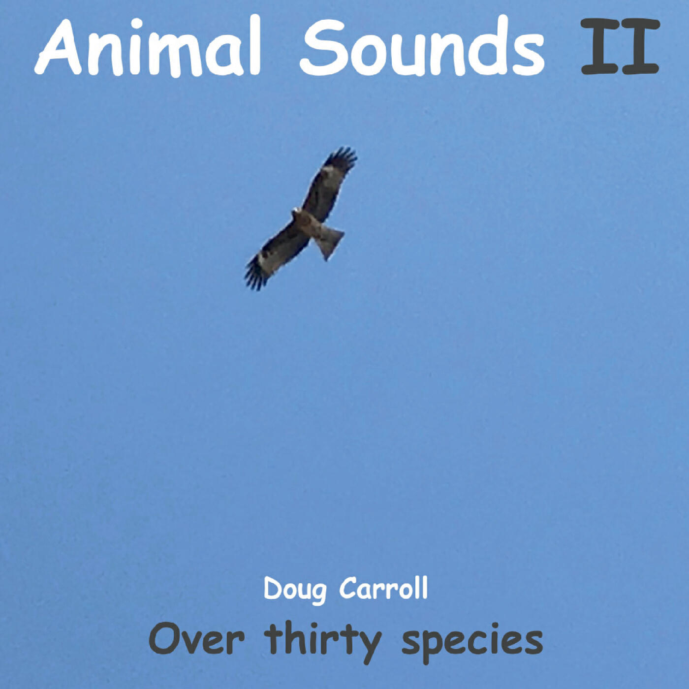 Релиз Animal Sounds II