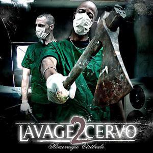 Lavage 2 Cervo