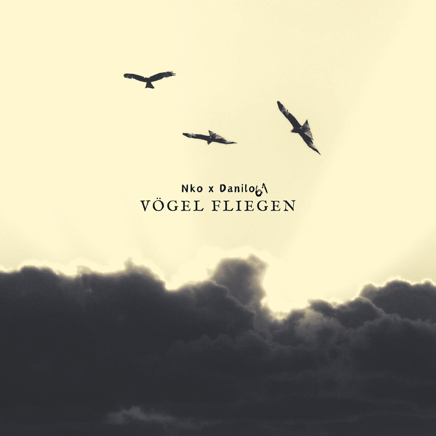 Релиз Vögel Fliegen