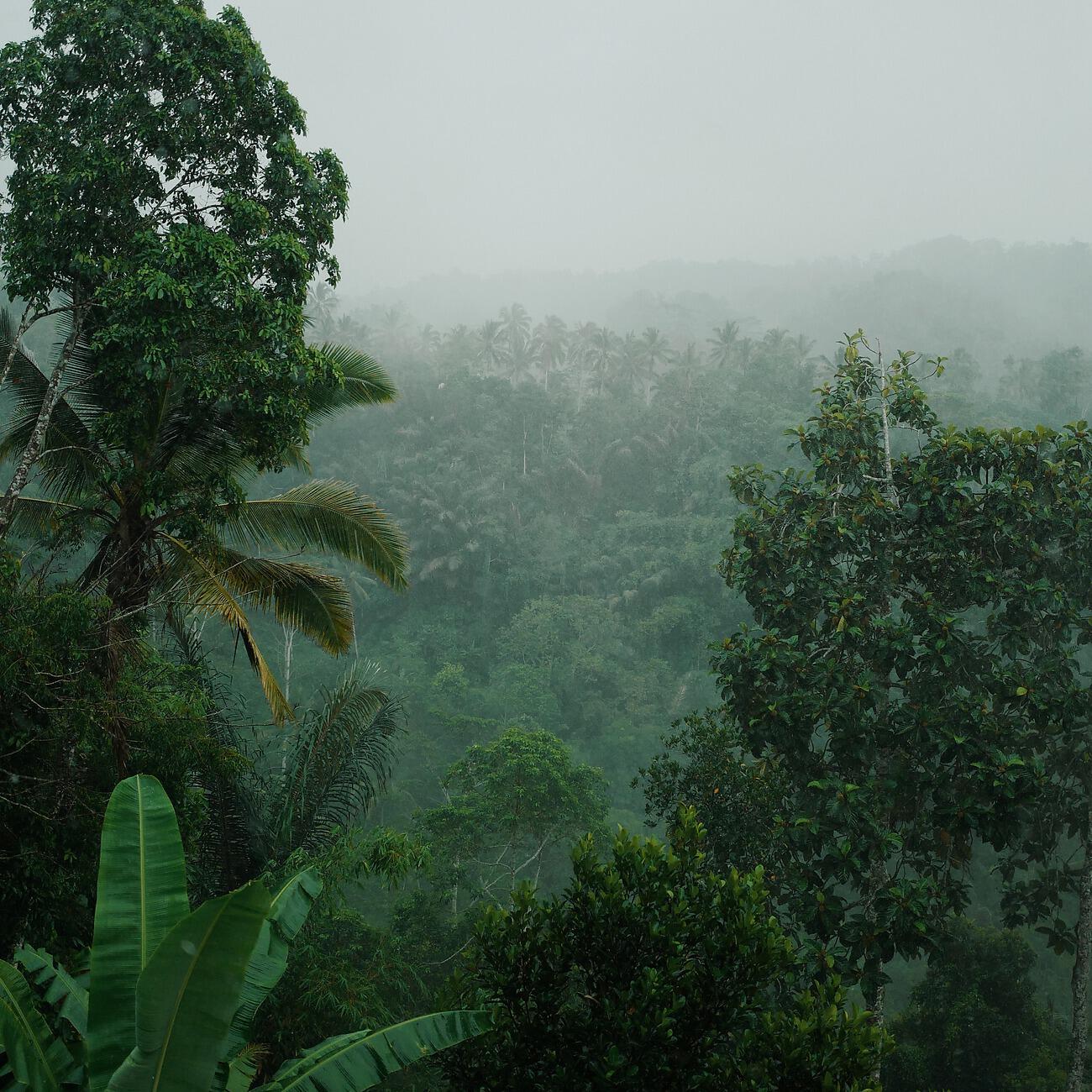 Постер альбома Relaxing Rain Sounds for Sleeping
