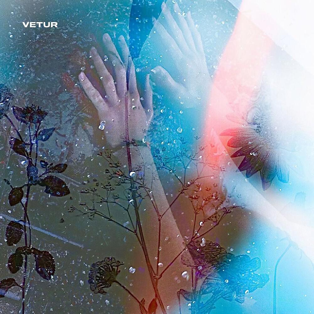 Релиз Vetur