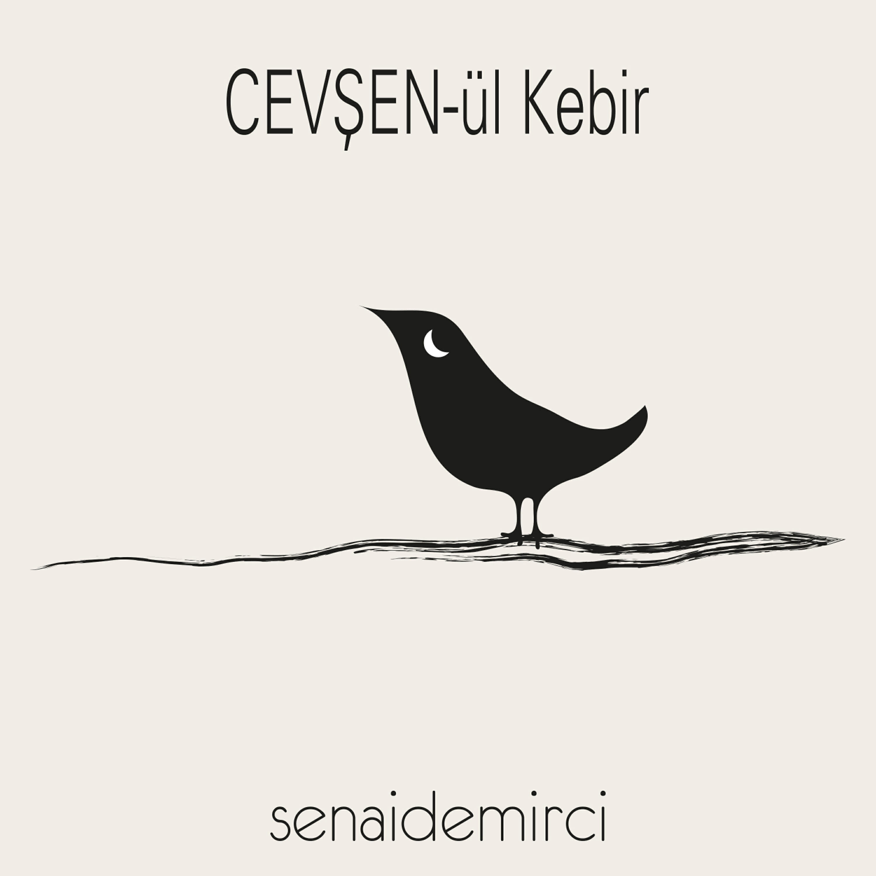 Релиз Cevşen-Ül Kebir