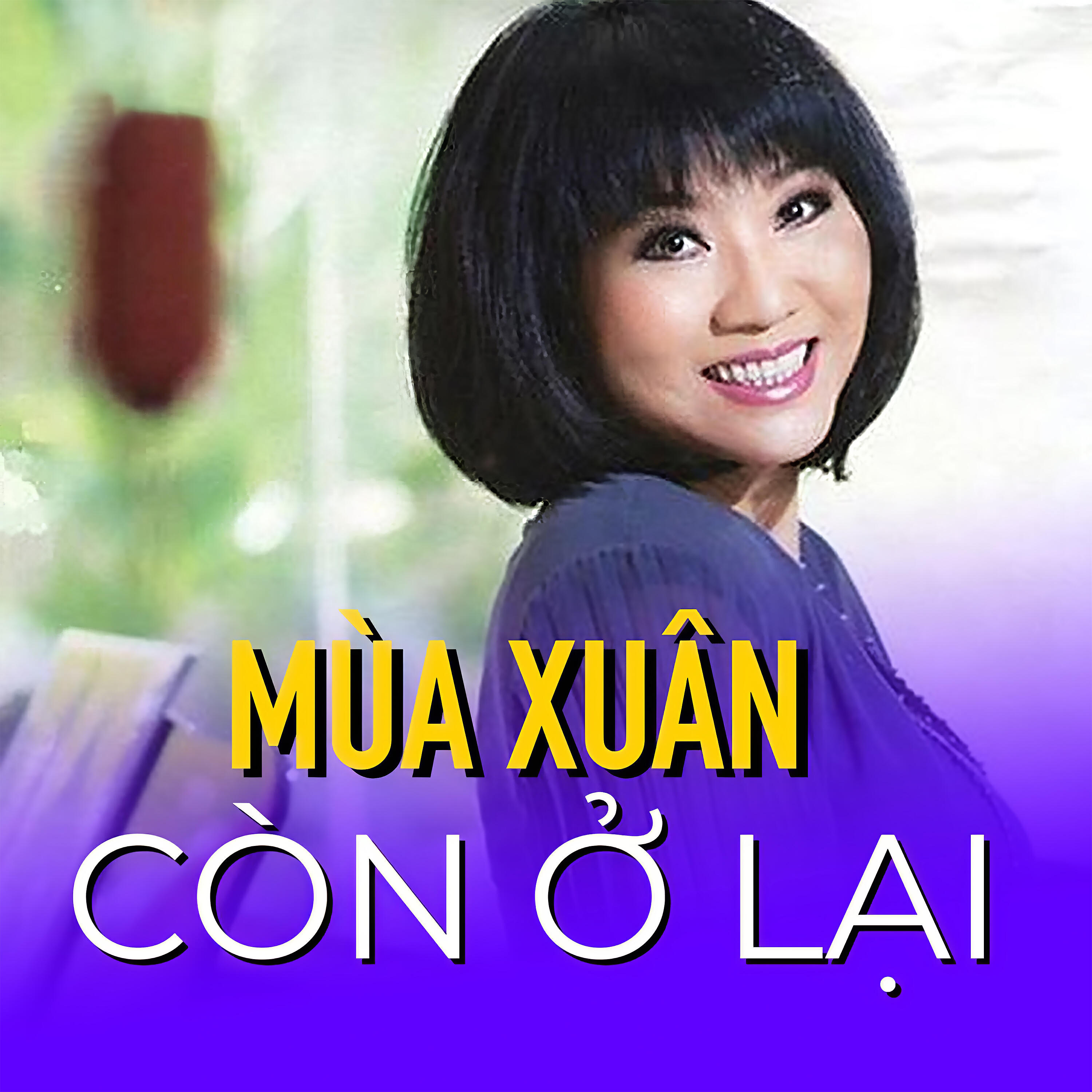 Трек Tiếng chày trên Sóc Bombo
