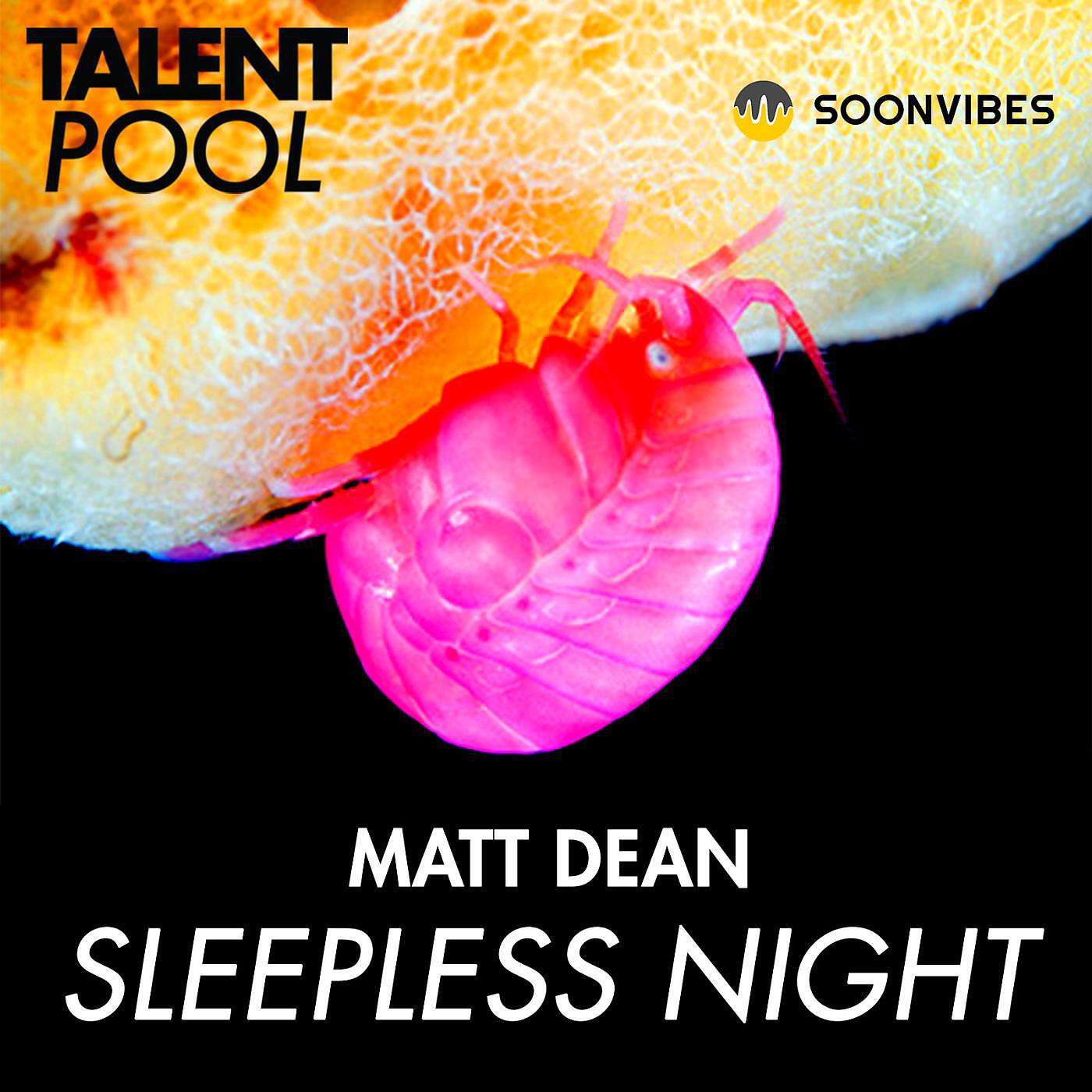 Релиз Sleepless Night