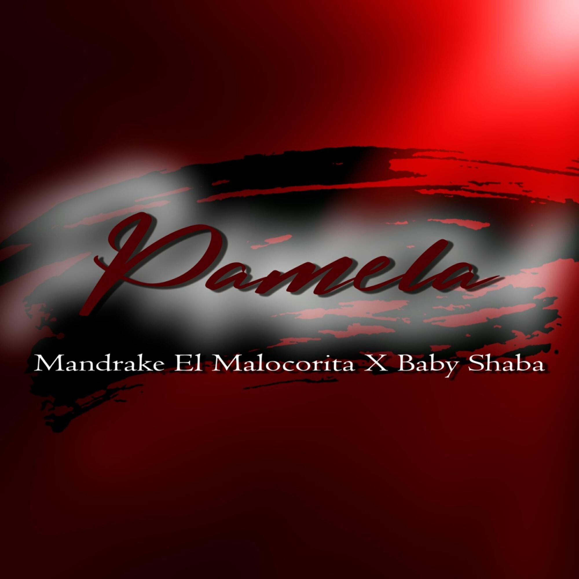 Релиз Pamela