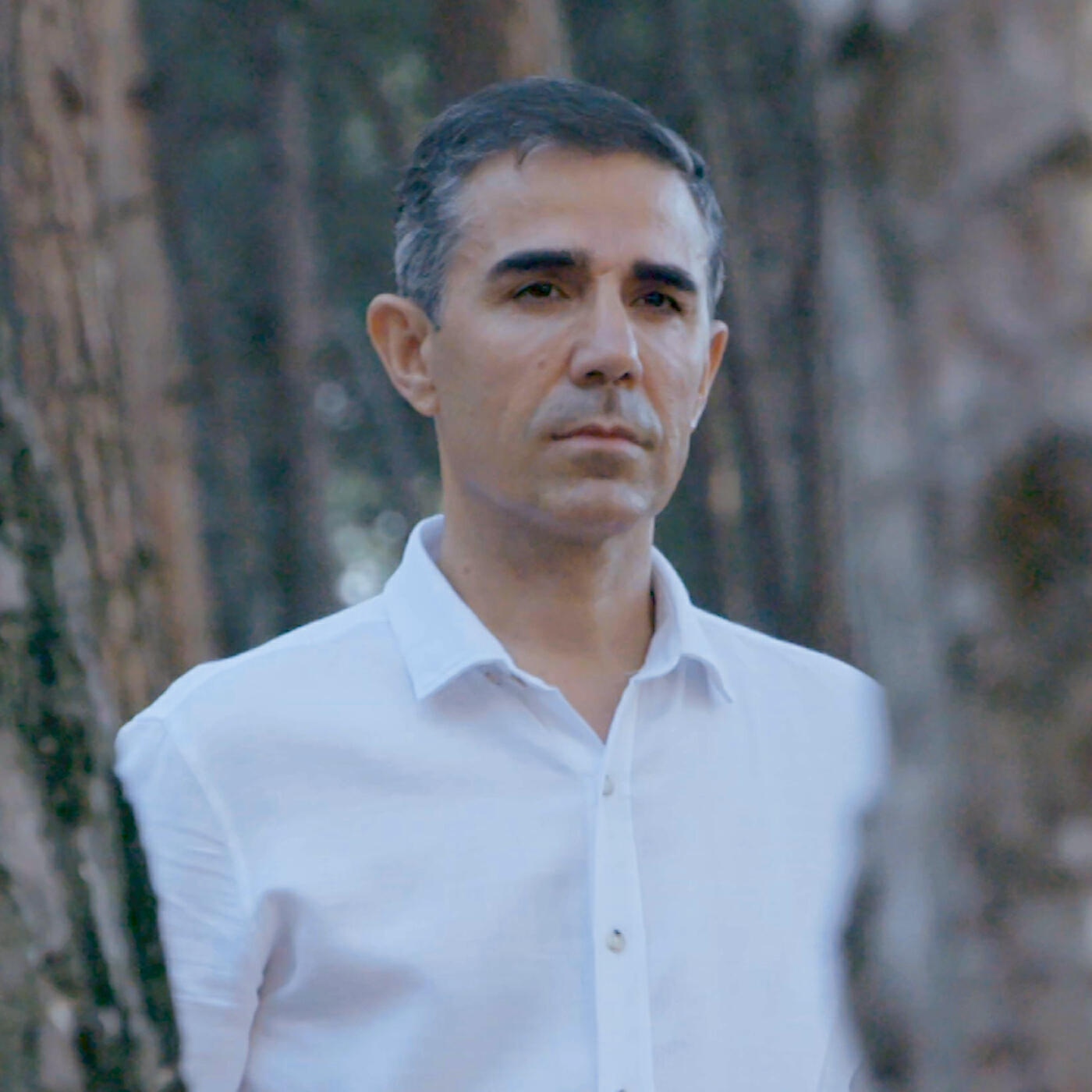 Релиз Numaracı