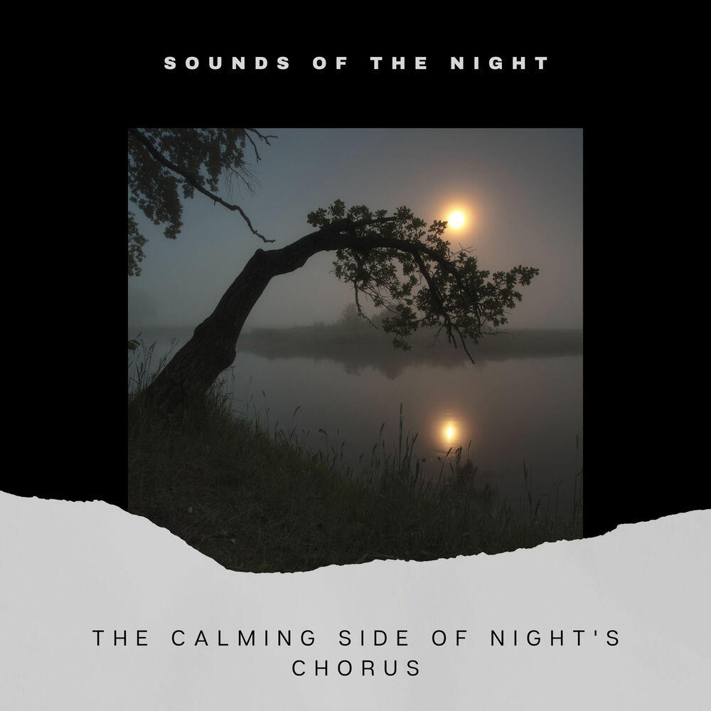 Релиз The Calming Side of Night's Chorus