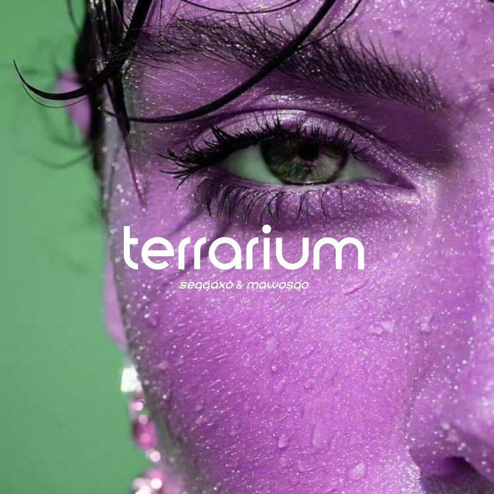 Релиз Terrarium