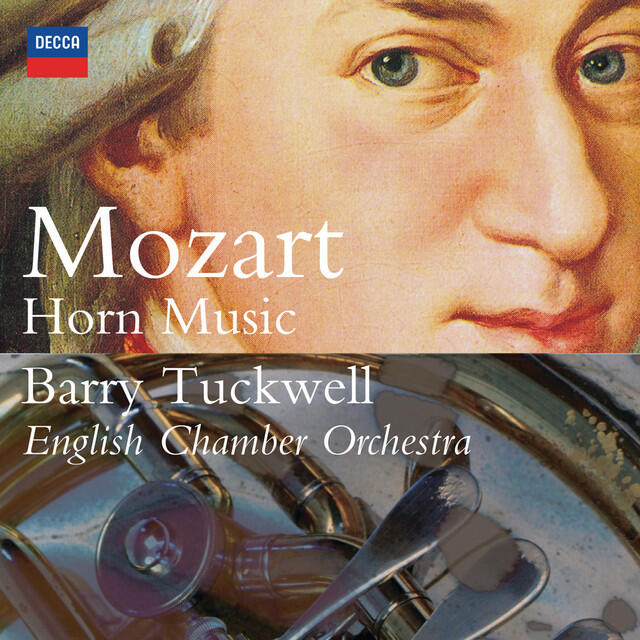 Постер альбома Mozart: Complete Horn Music