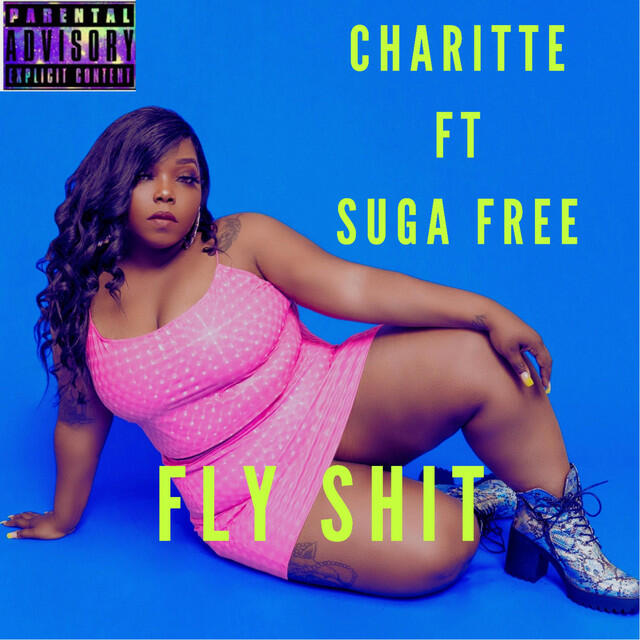 Релиз Fly Shit