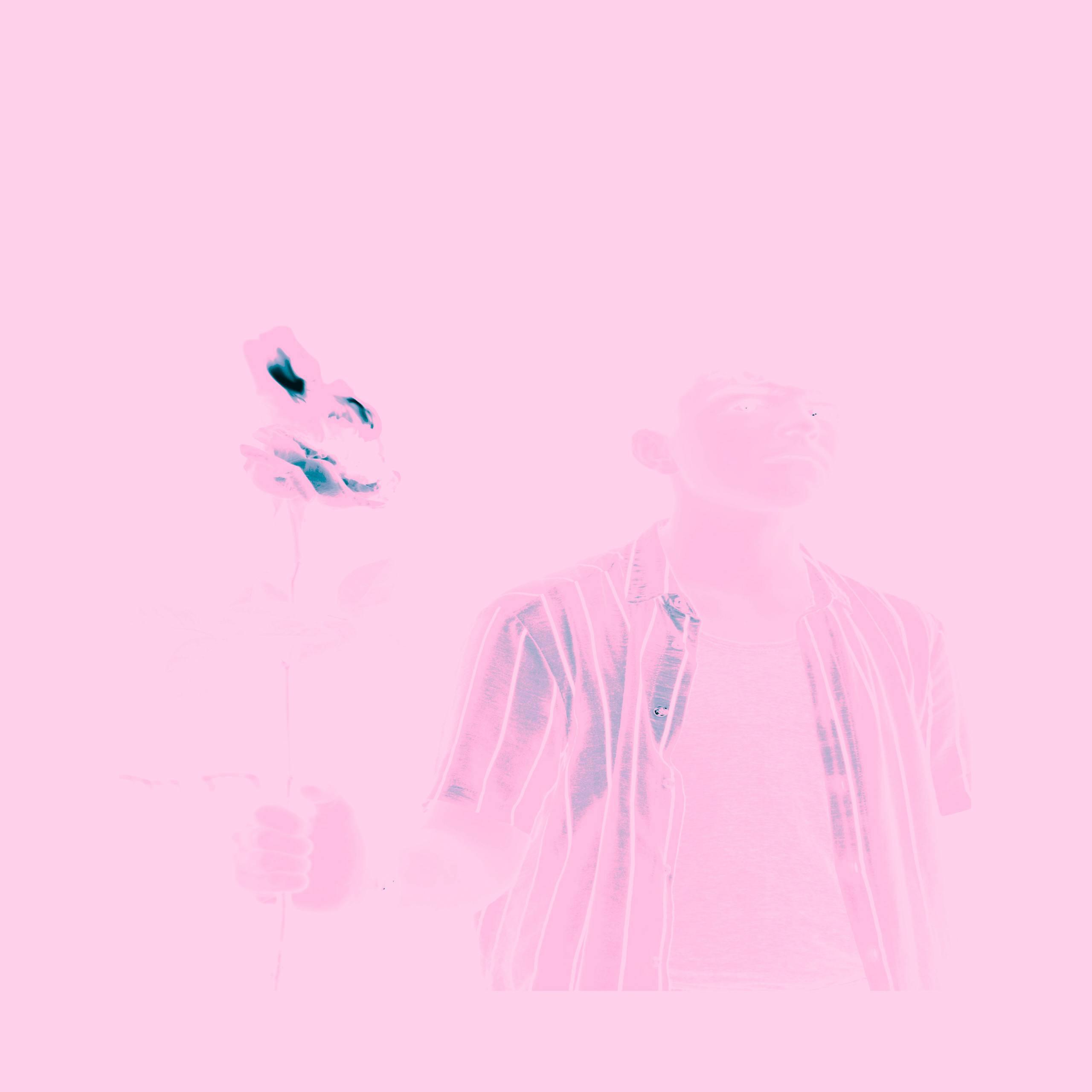1NSULEEN