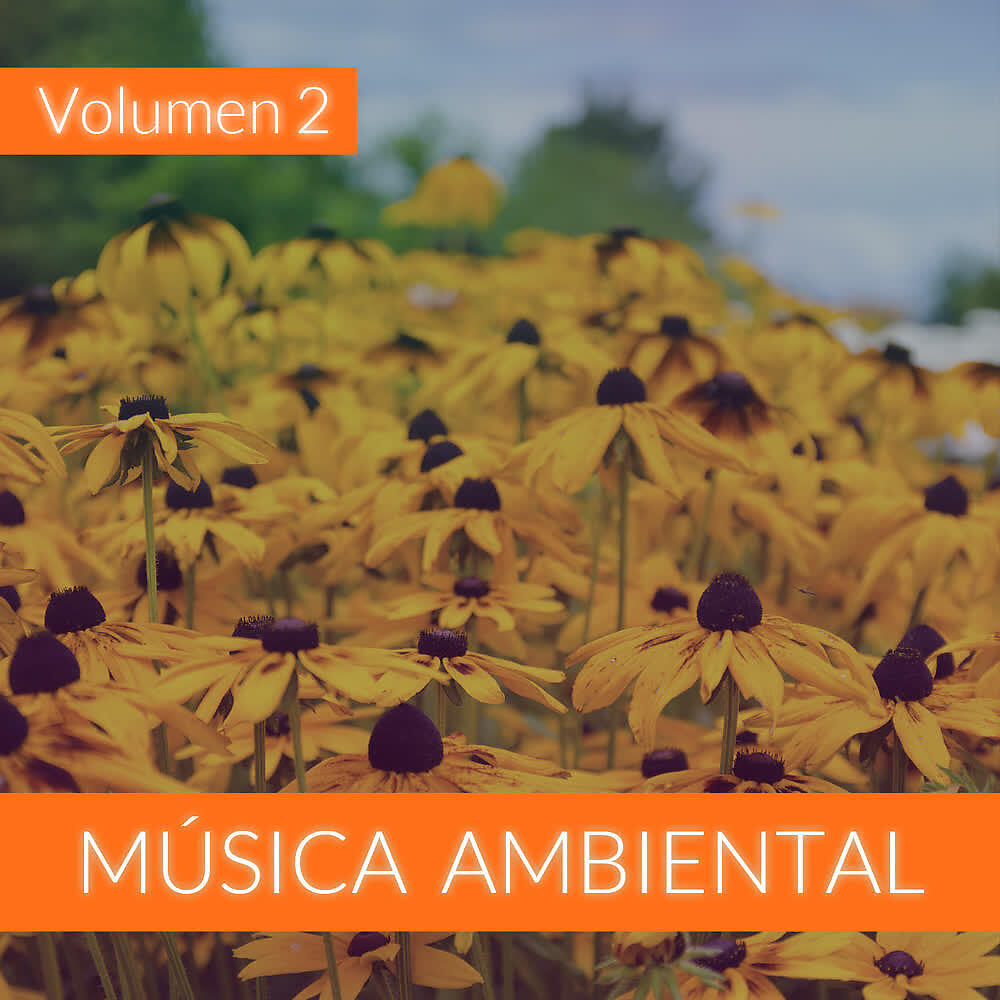 Релиз Música Ambiental (Volumen 2)