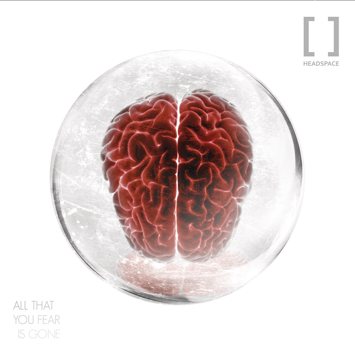 Релиз The Science Within Us