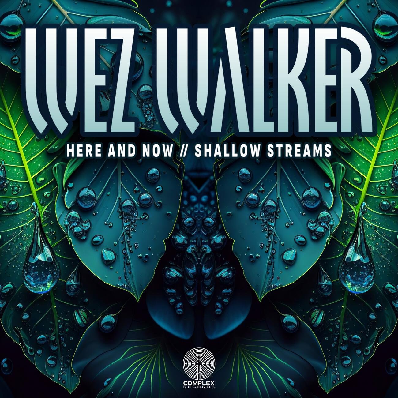 Релиз Here And Now // Shallow Streams