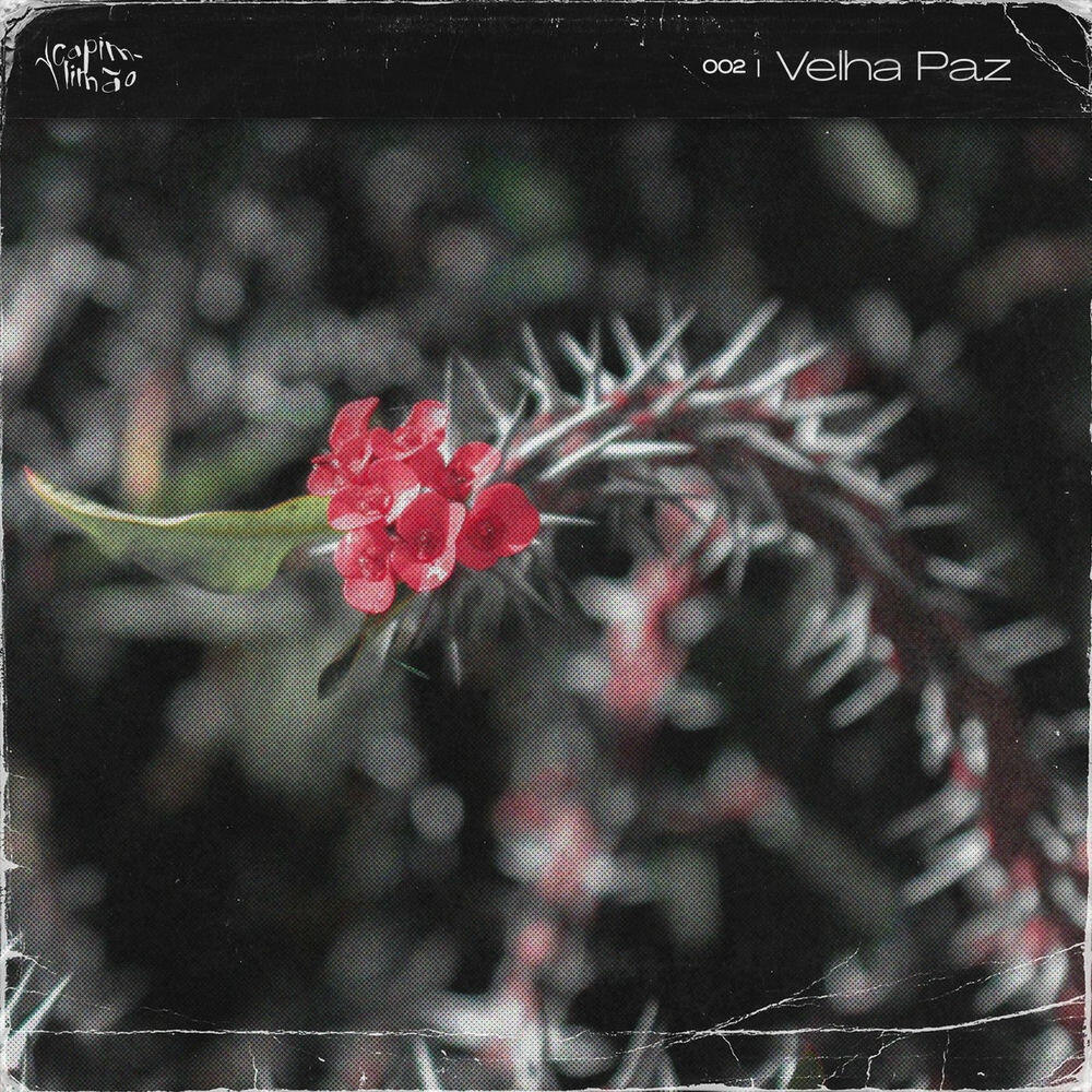 Релиз Velha Paz