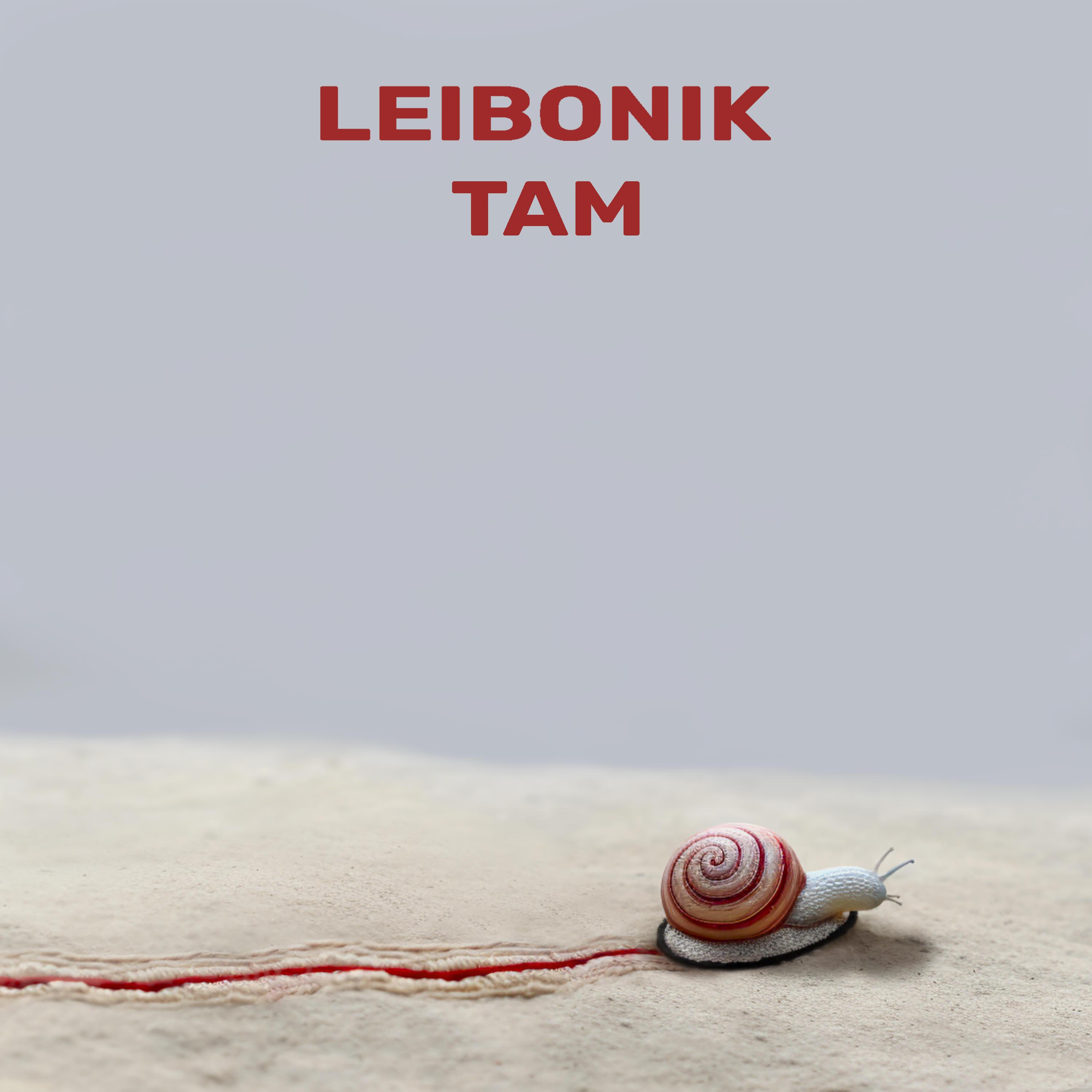 Релиз TAM