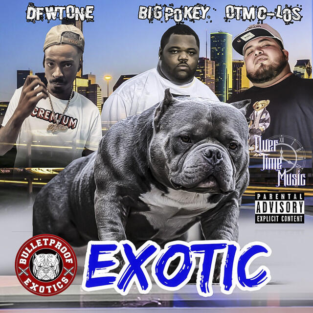 Релиз Exotic