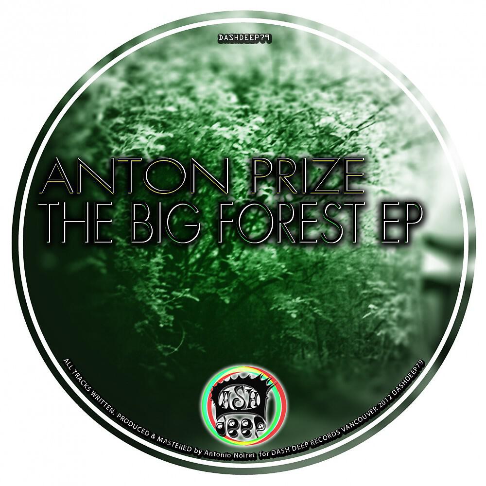 Релиз The Big Forest