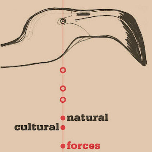 Релиз Natural / Cultural Forces