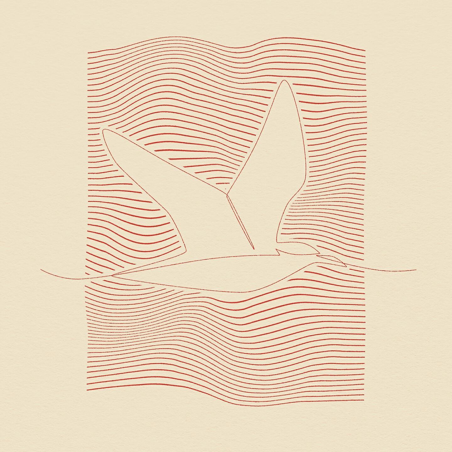 Релиз The Fisherman & The Seagull / Behind The Horizon