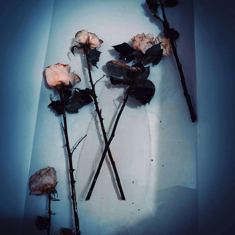 Релиз Drying flowers