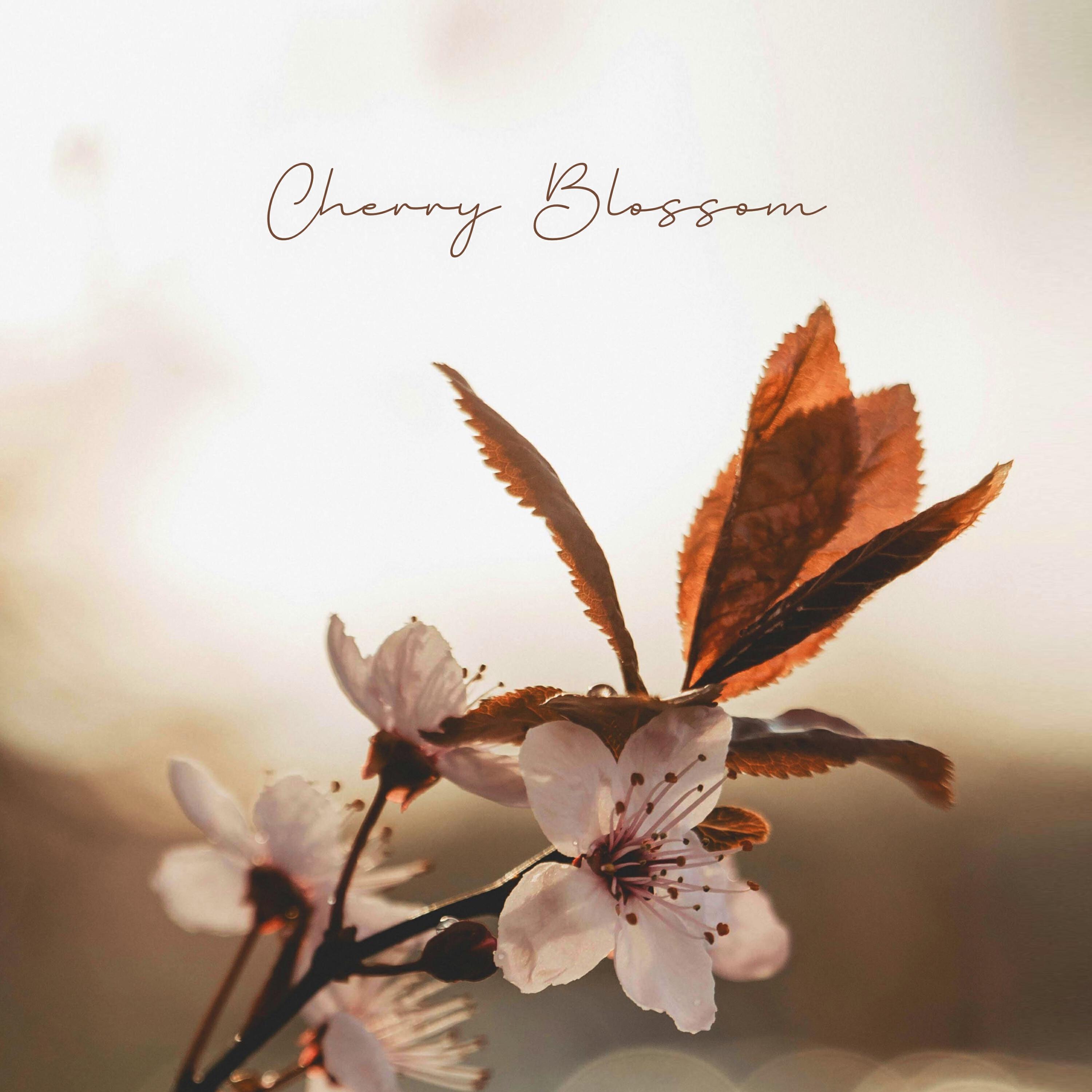 Релиз Cherry Blossom