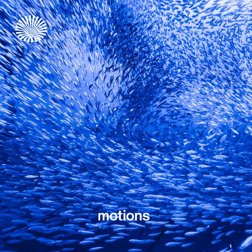 Релиз Motions
