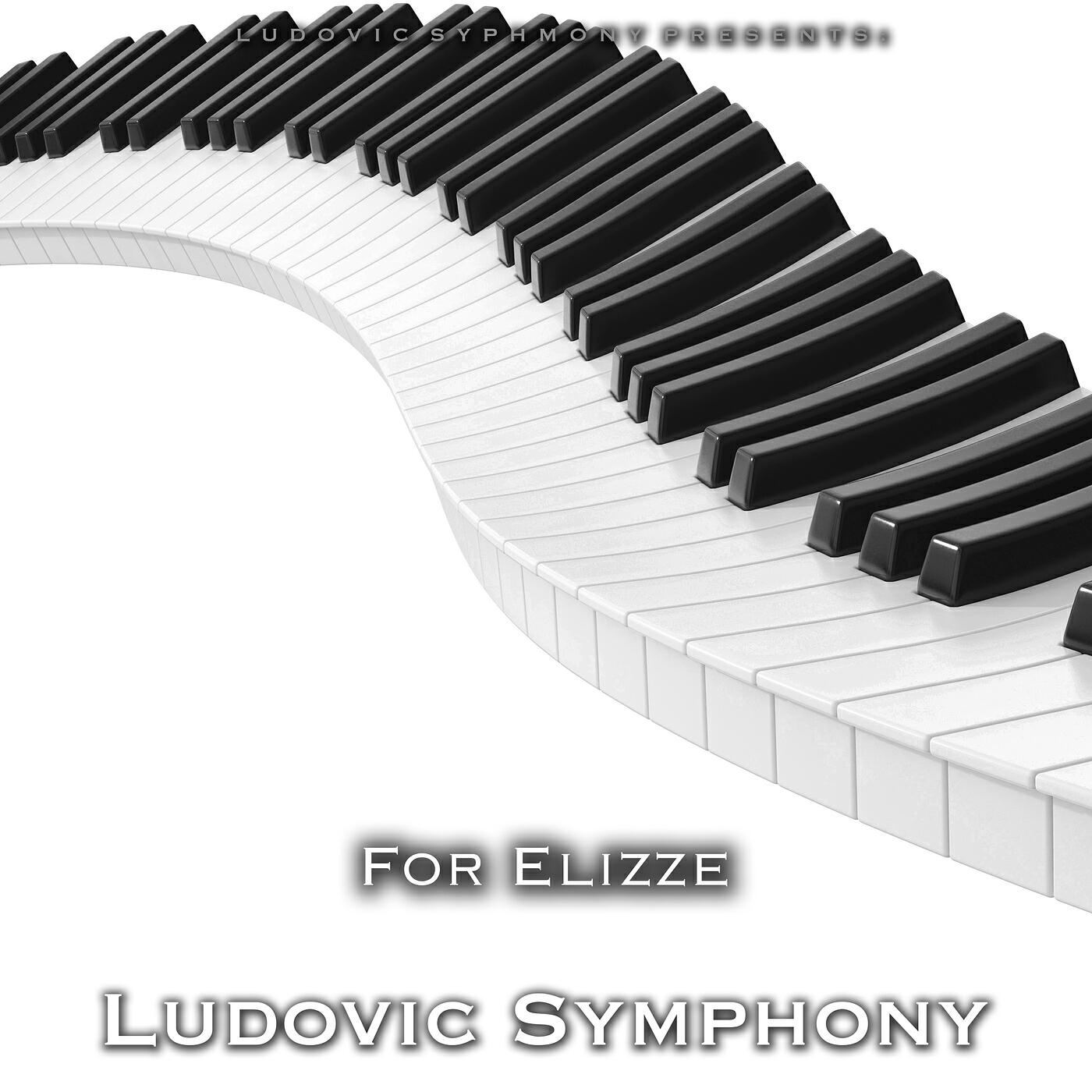 Постер альбома For Elizze