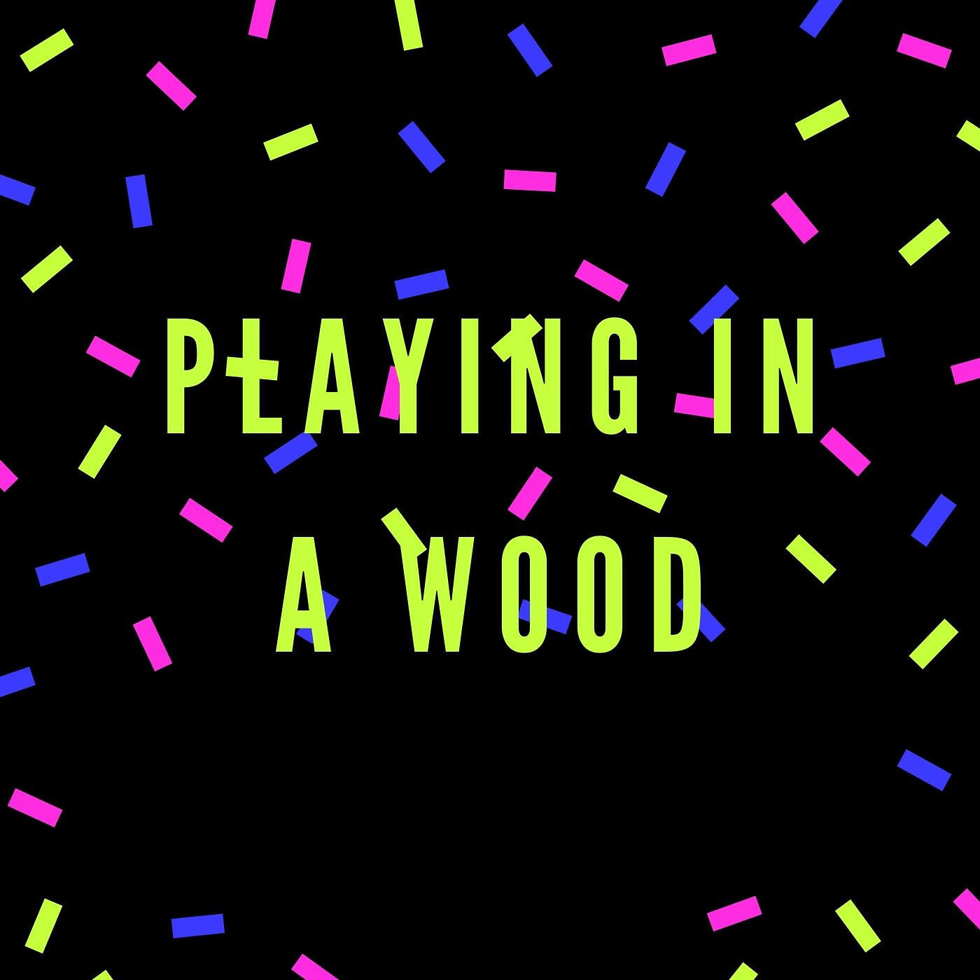 Релиз Playing in a Wood