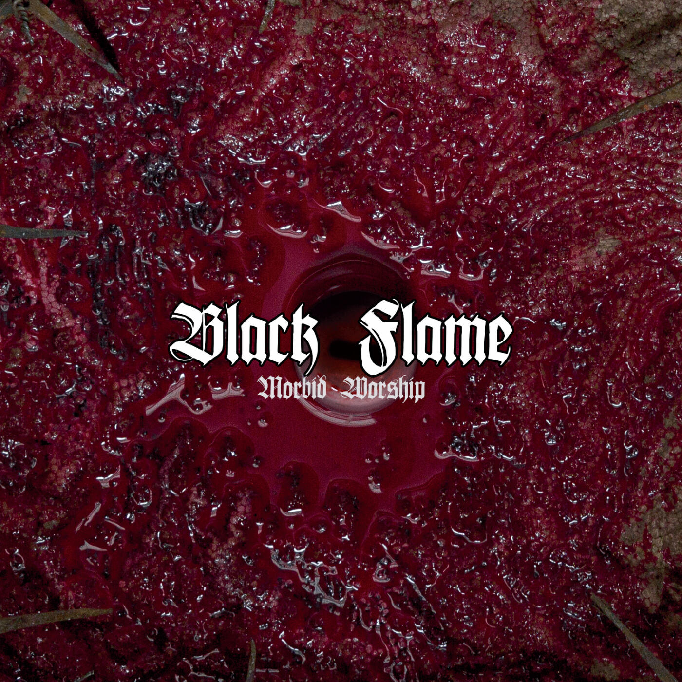 Релиз Morbid Worship