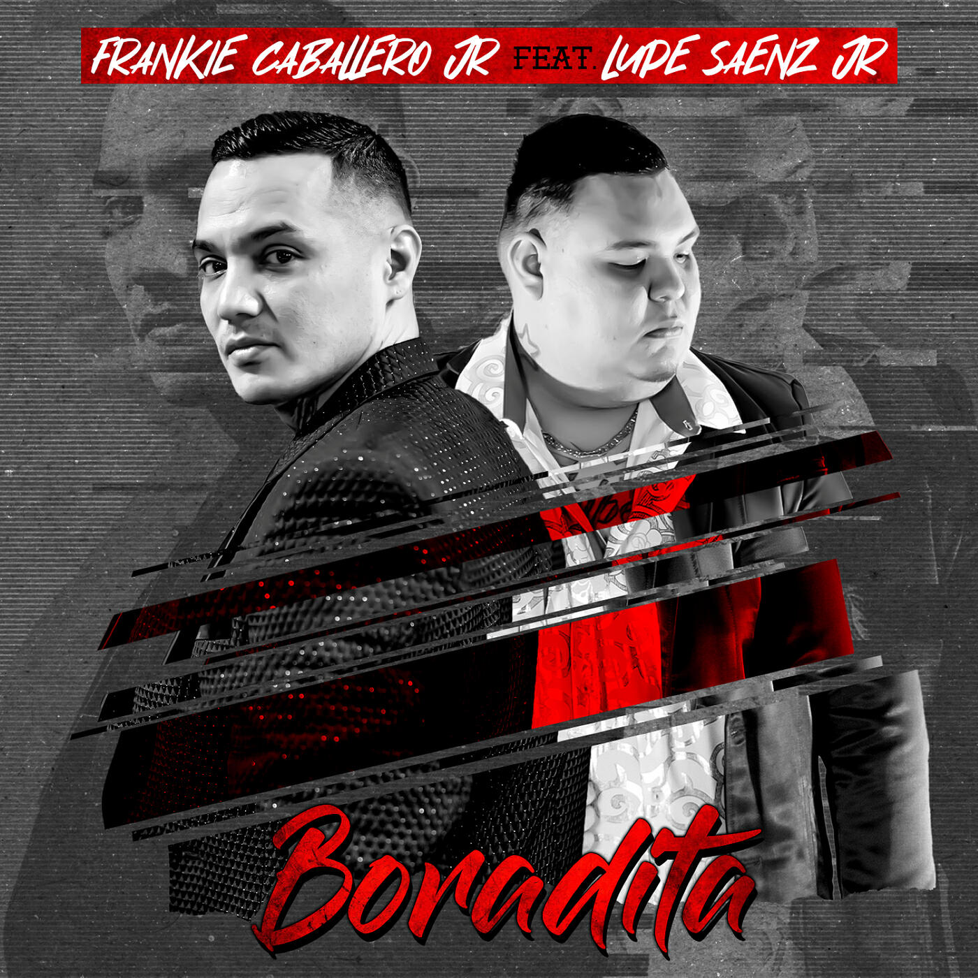 Релиз Boradita