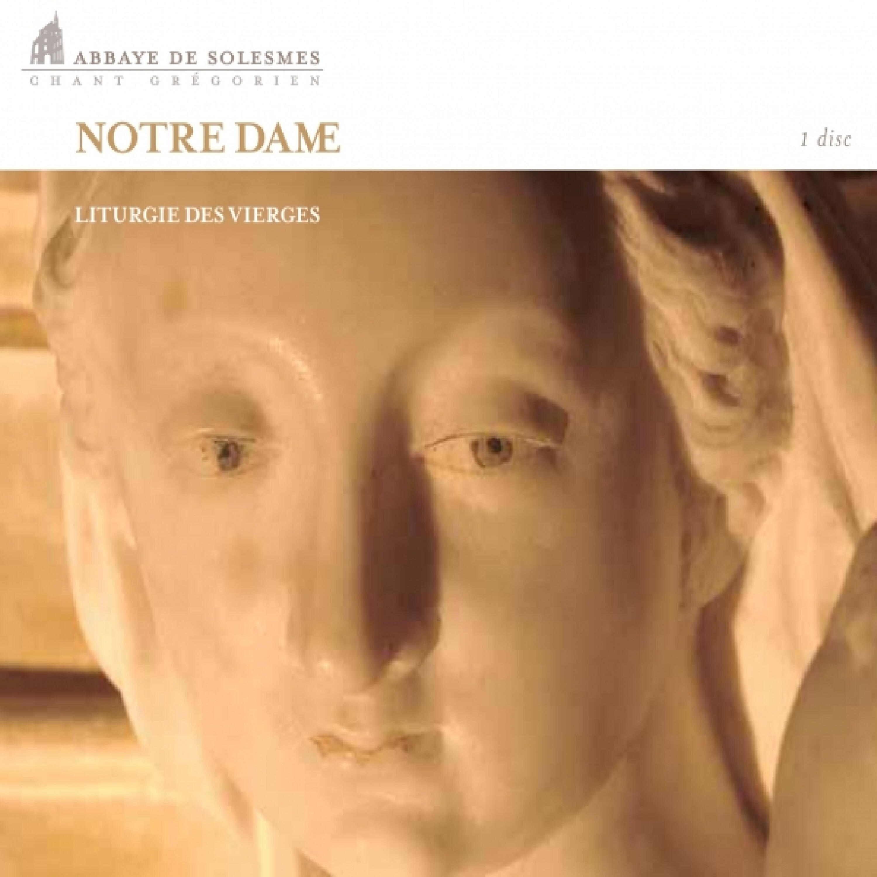 Релиз Notre Dame