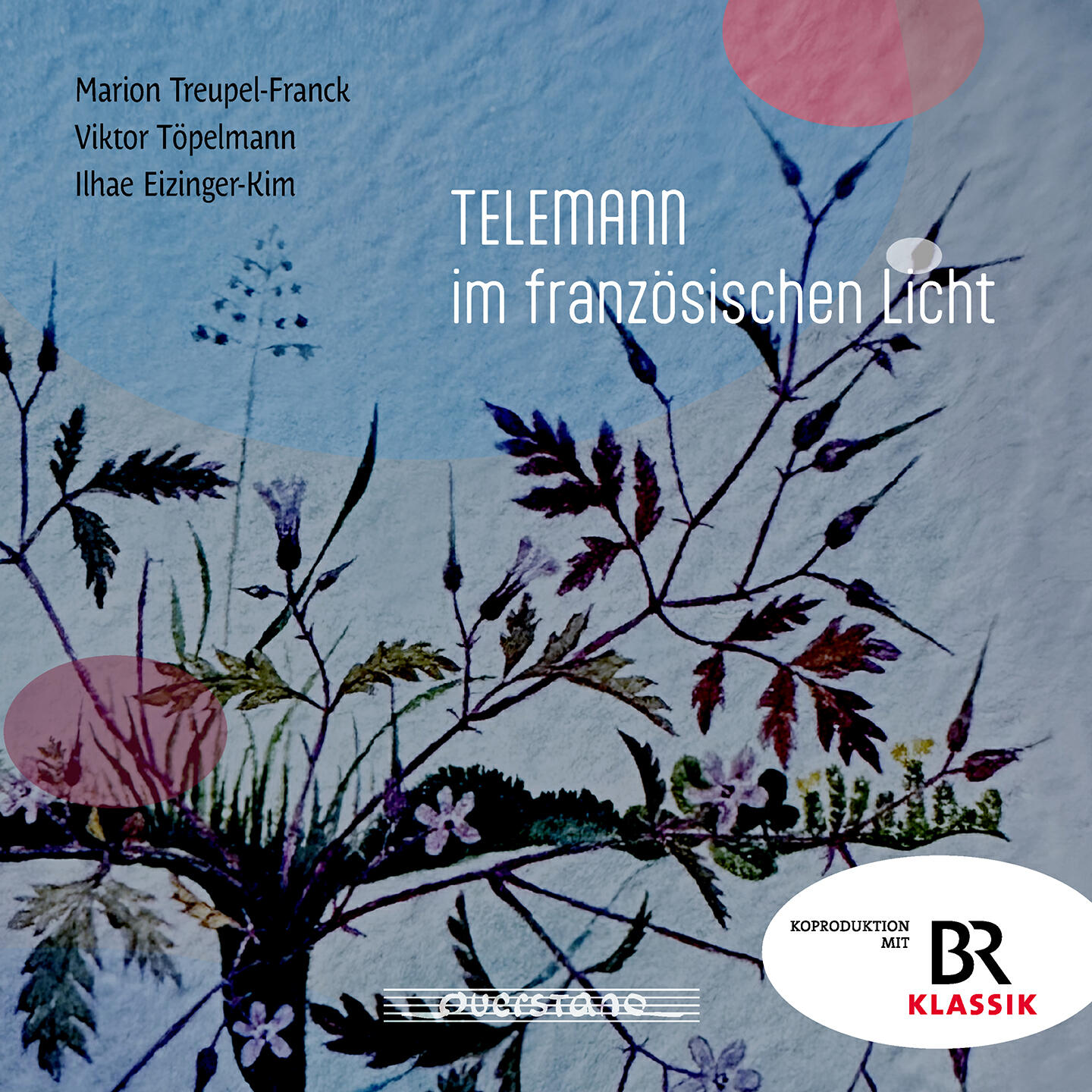 Marion Treupel-Franck