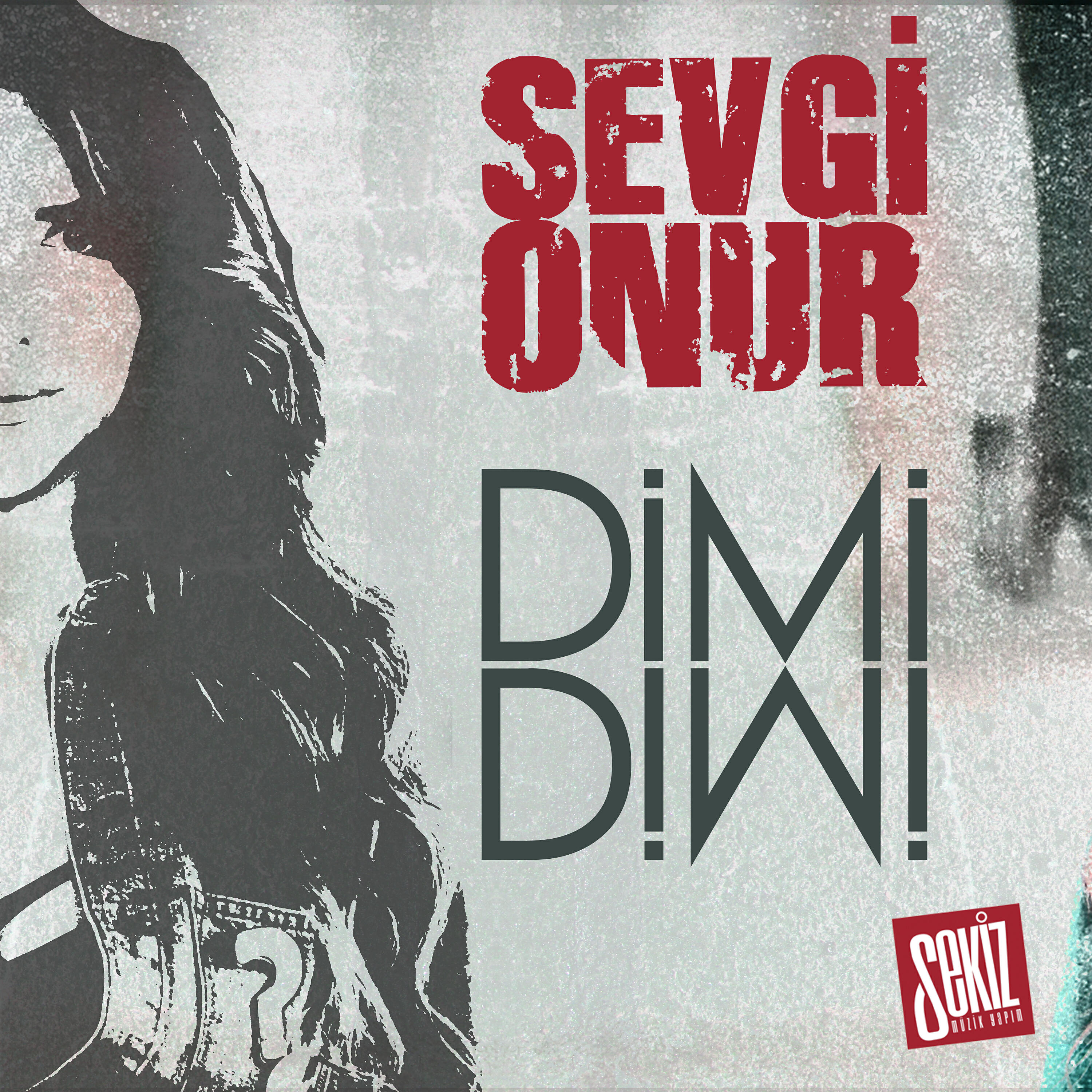Anıl Alp 