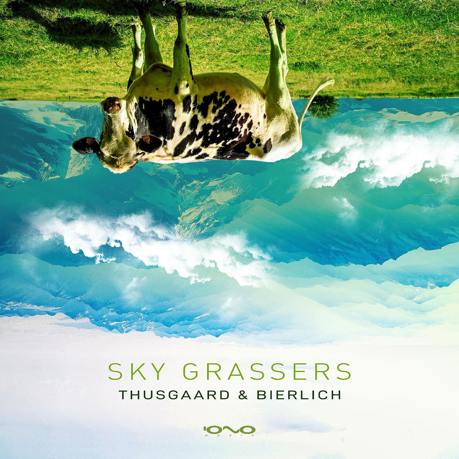 Релиз Sky Grassers