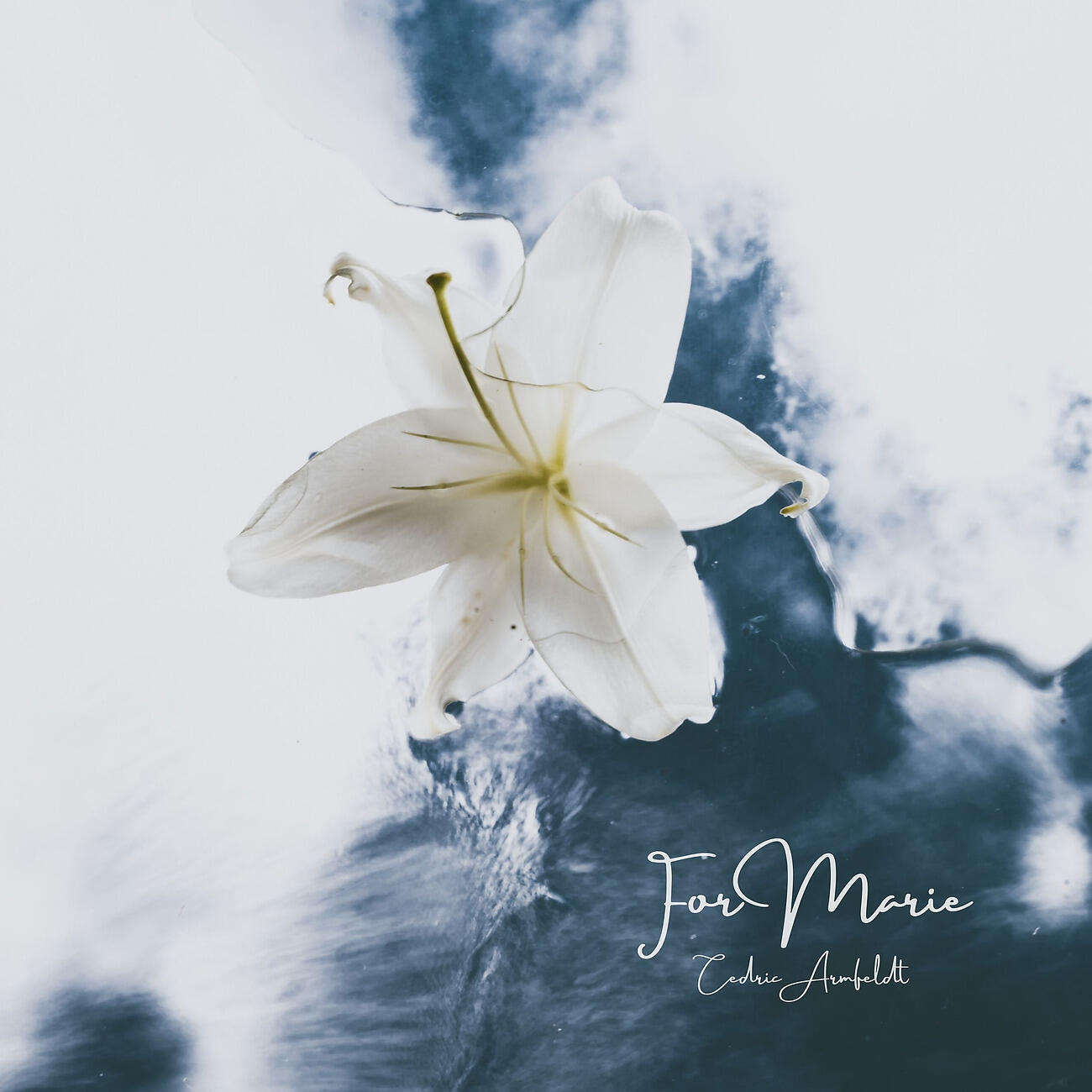 Релиз For Marie