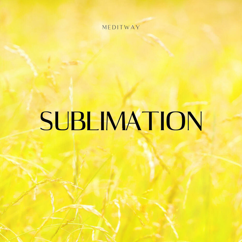 Релиз Sublimation