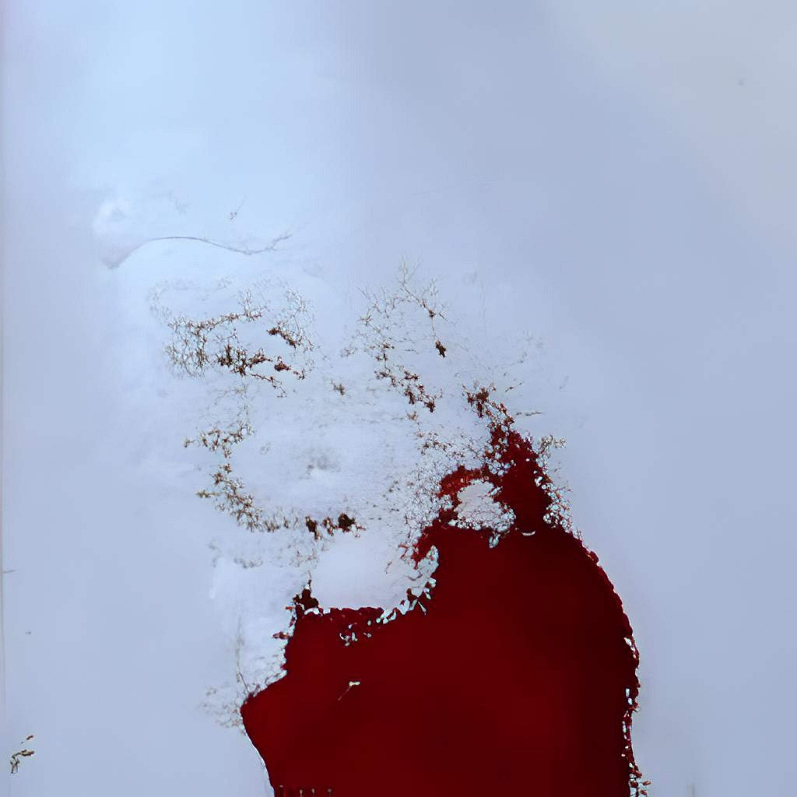 Релиз Кровь на снегу