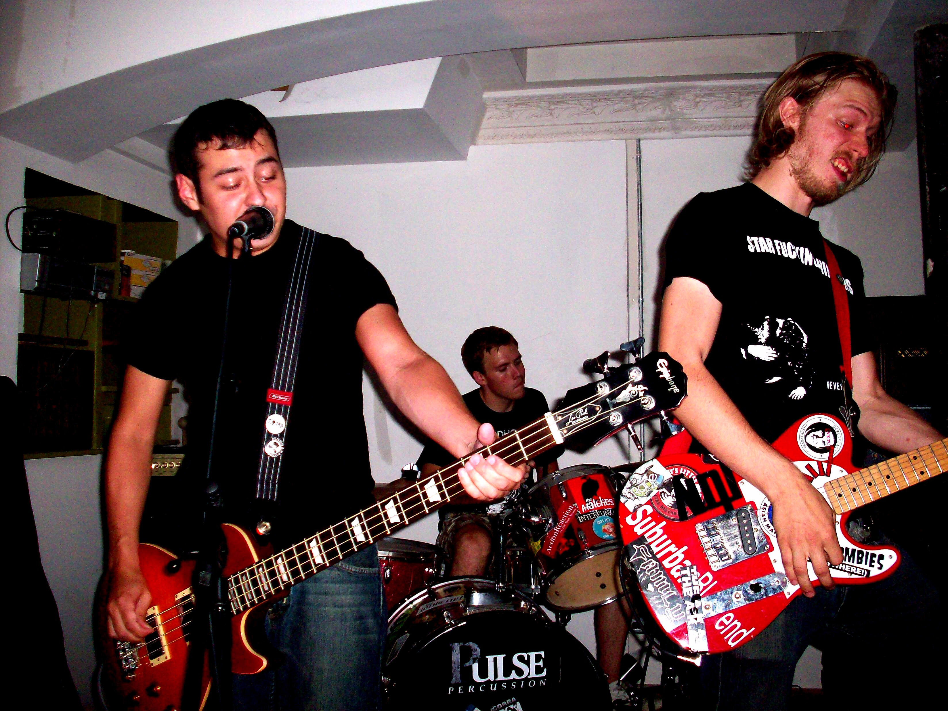 The Cobra Brothers