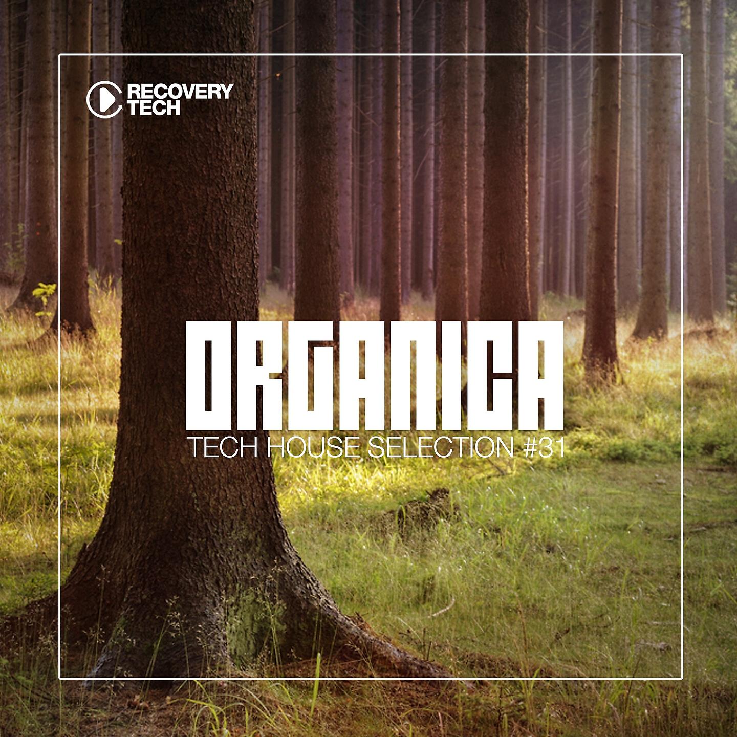 Релиз Organica #31